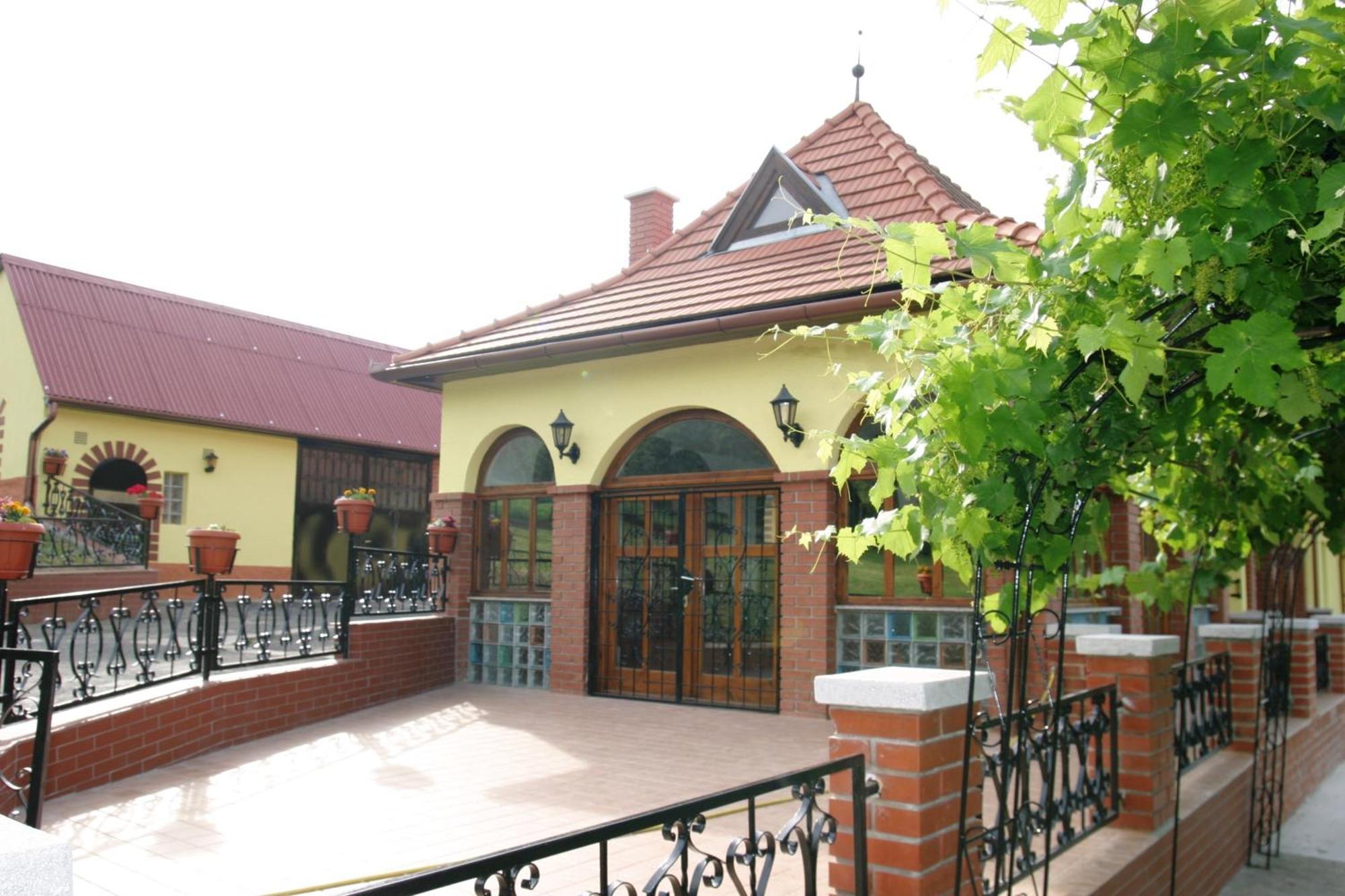 Villa Teleki Exteriér fotografie