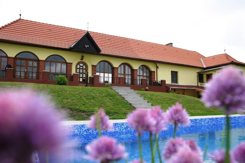 Villa Teleki Exteriér fotografie