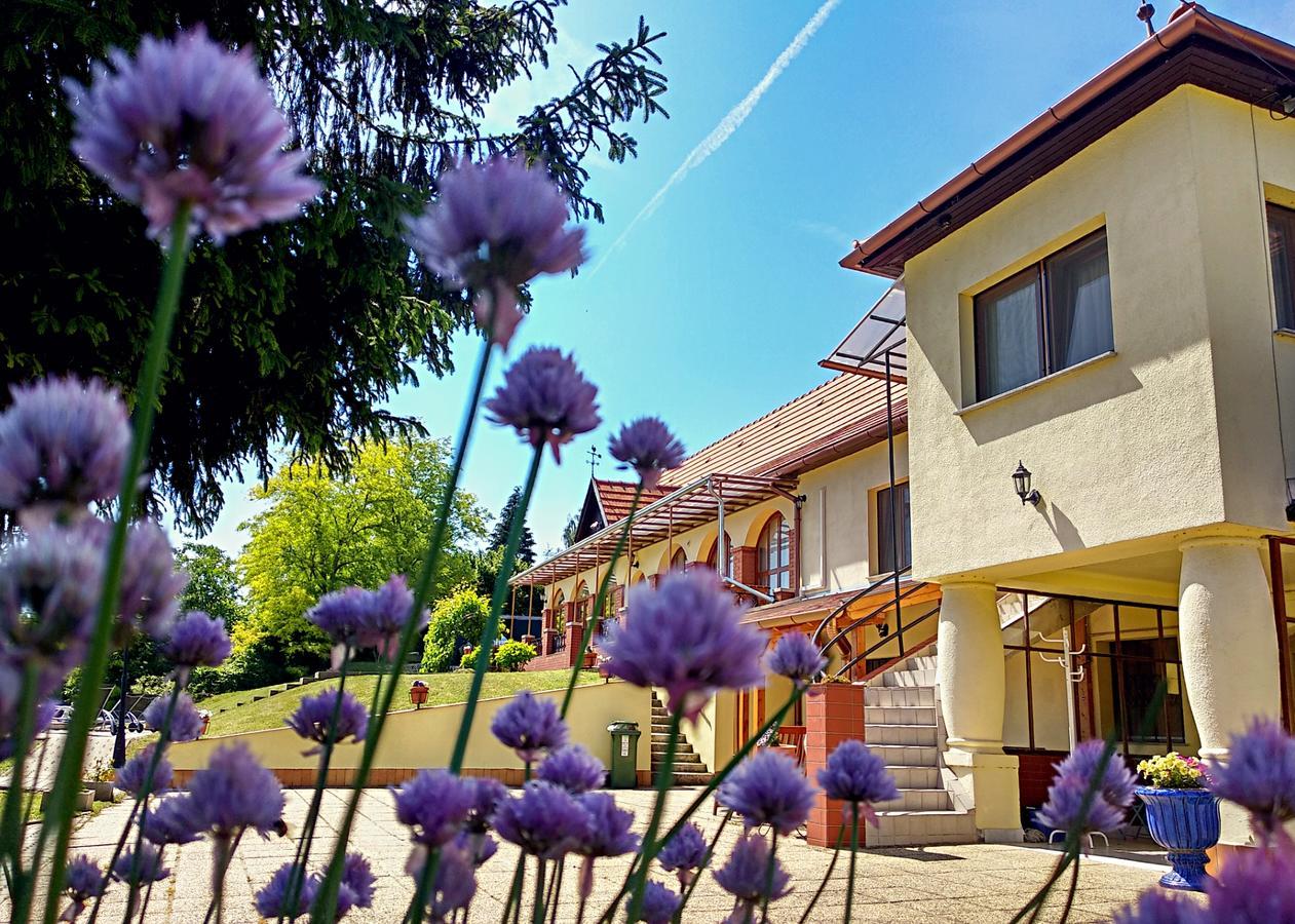 Villa Teleki Exteriér fotografie