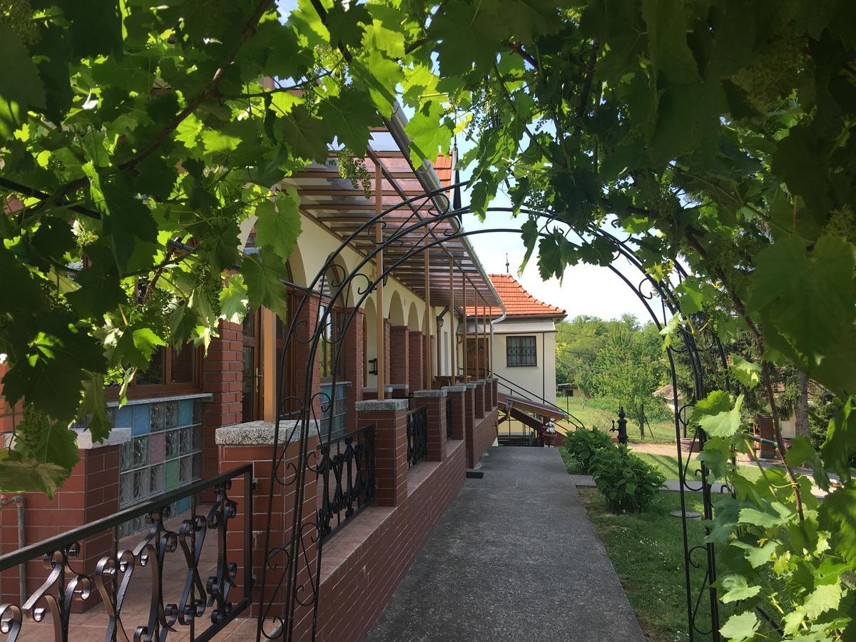 Villa Teleki Exteriér fotografie