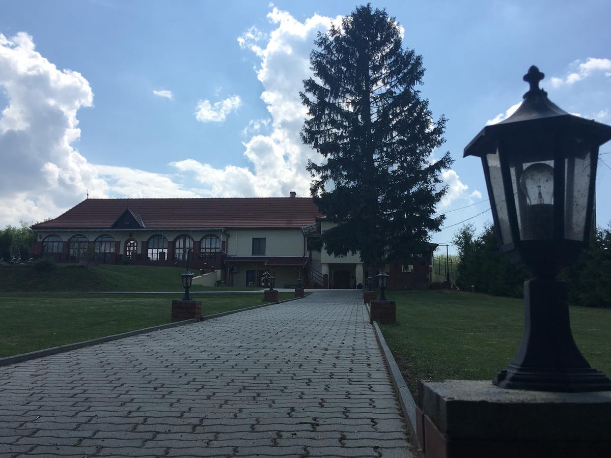 Villa Teleki Exteriér fotografie