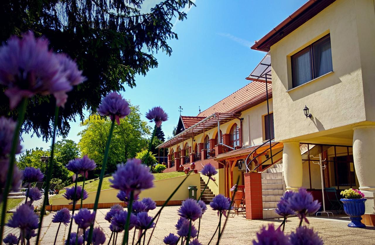 Villa Teleki Exteriér fotografie